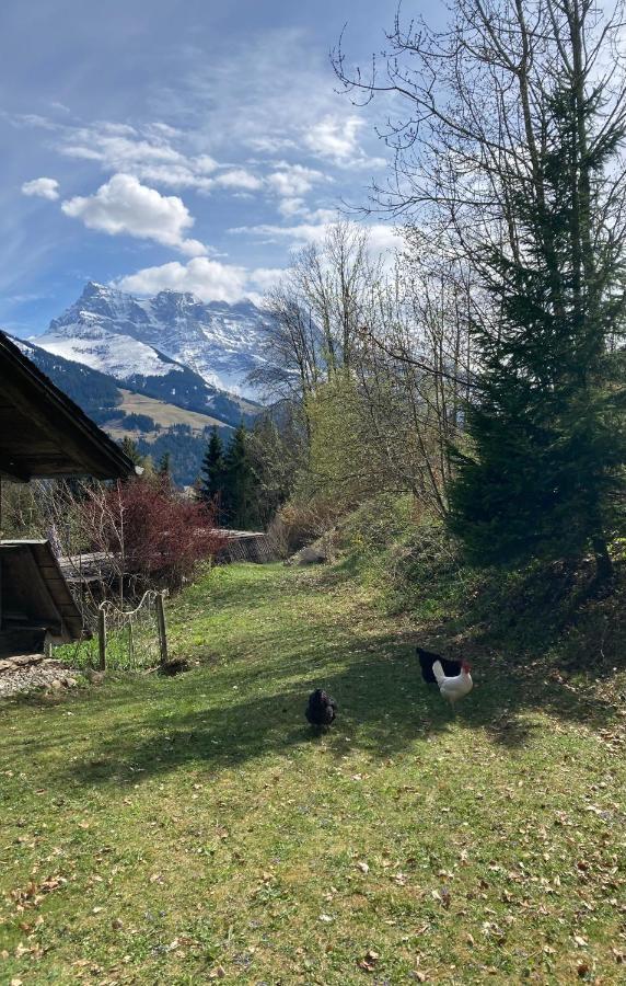 Chalet Ingas Troistorrents Kültér fotó